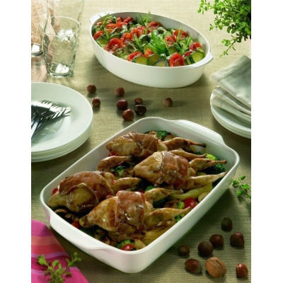 PYREX Pyroflam Форма-жаровня от -40 до +800 С 35х22 P35B000