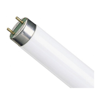 Лампа люминисцентная T8 36W х 120  - 140413-17