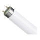 Лампа люминисцентная T8 36W х 120  - 140413-17