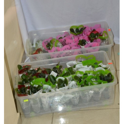 AL-PLASTIK Big Box Контейнер пищевой бокс 30 л 1184