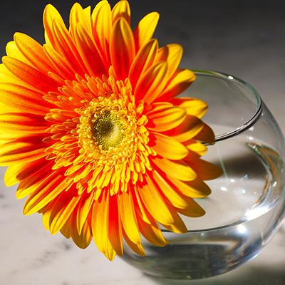 Ваза для квітів 102мм.  Flora*Pasabahce -  43417-1