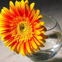 Ваза для квітів 102мм.  Flora*Pasabahce -  43417-1