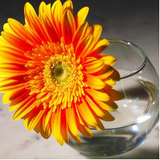Ваза для квітів 102мм.  Flora*Pasabahce -  43417-1