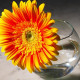 Ваза для квітів 102мм.  Flora*Pasabahce -  43417-1