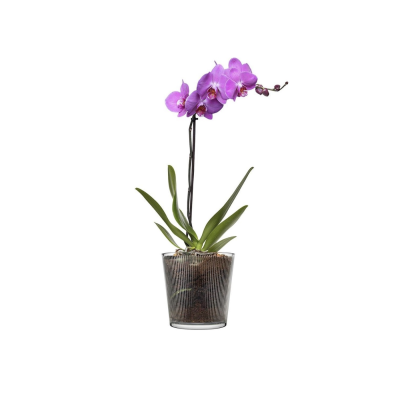 Горшок для квітів 13,5 см. BOTANICA PAŞABAHÇE  - 53837-1