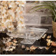 Блюдо тортівниця на ніжці 24 см. Madlen Pasabahce - 950007