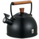 Чайник RINGEL IQ Вe Natural 2.5 л IQ-1001